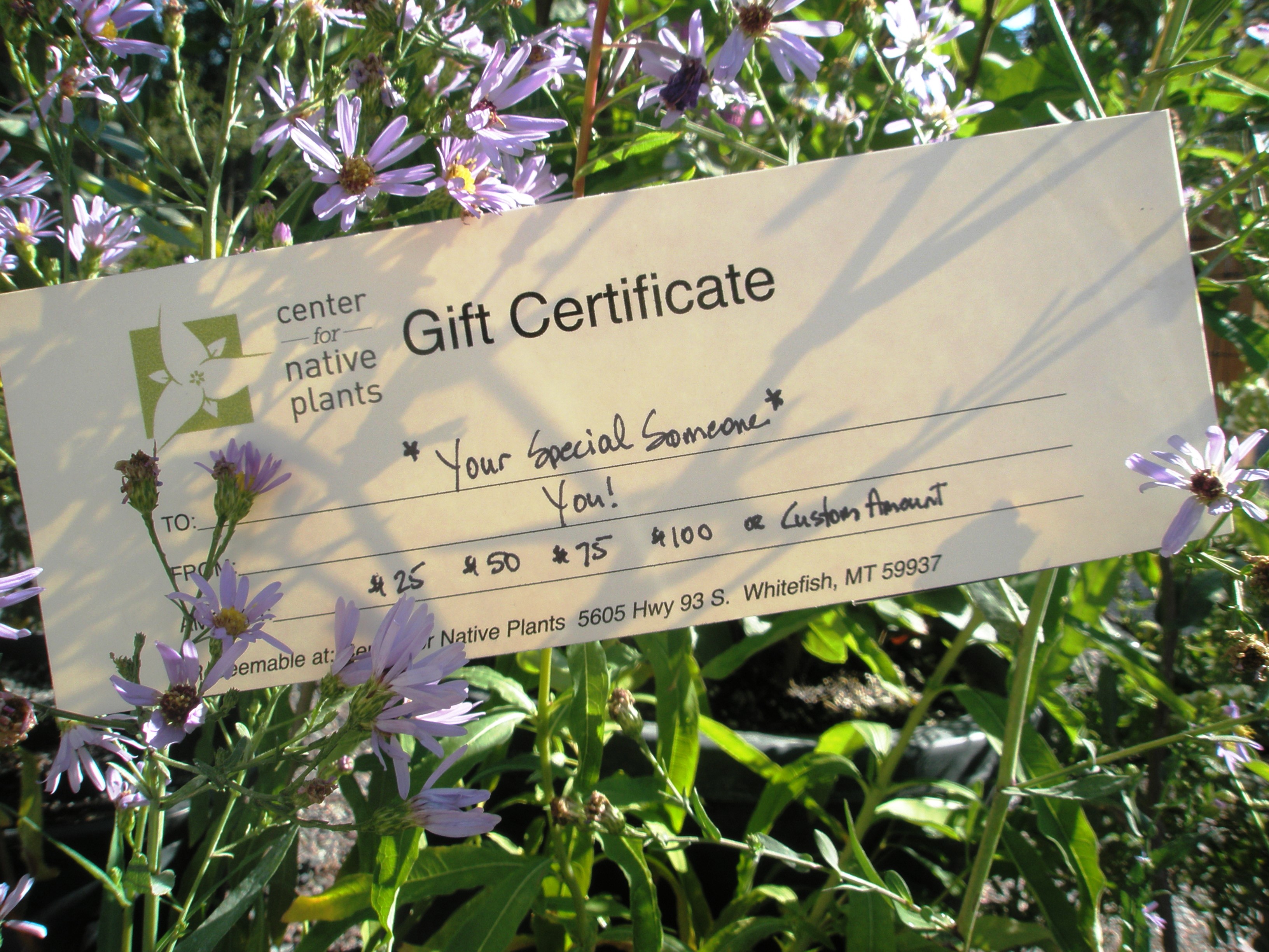 Center for Native Plants Gift Certificate