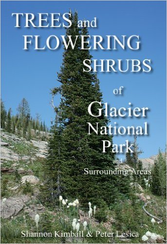 Trees and Flowering Shrubs of Glacier National Park