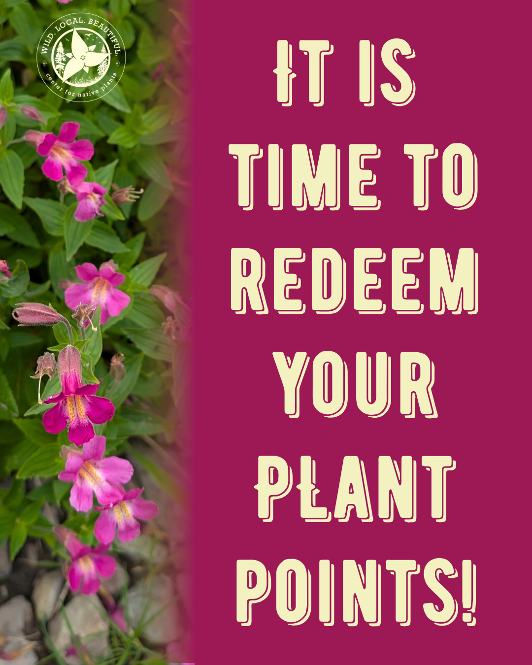 It is time to redeem your plant points!