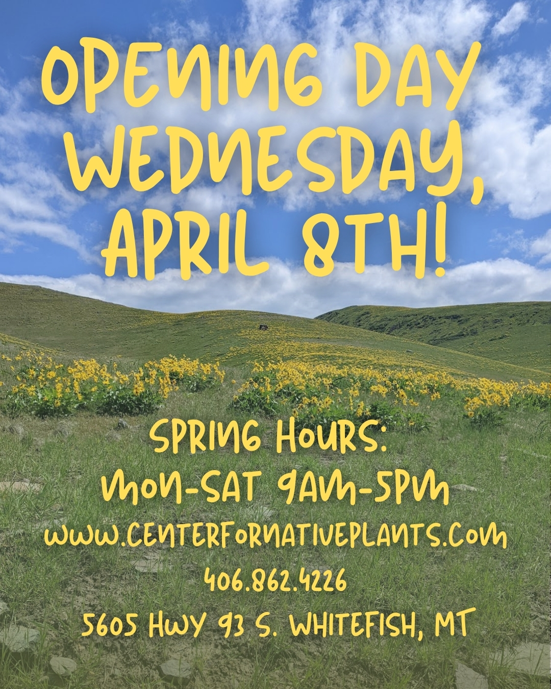 Opening Day: Wednesday April 8th
