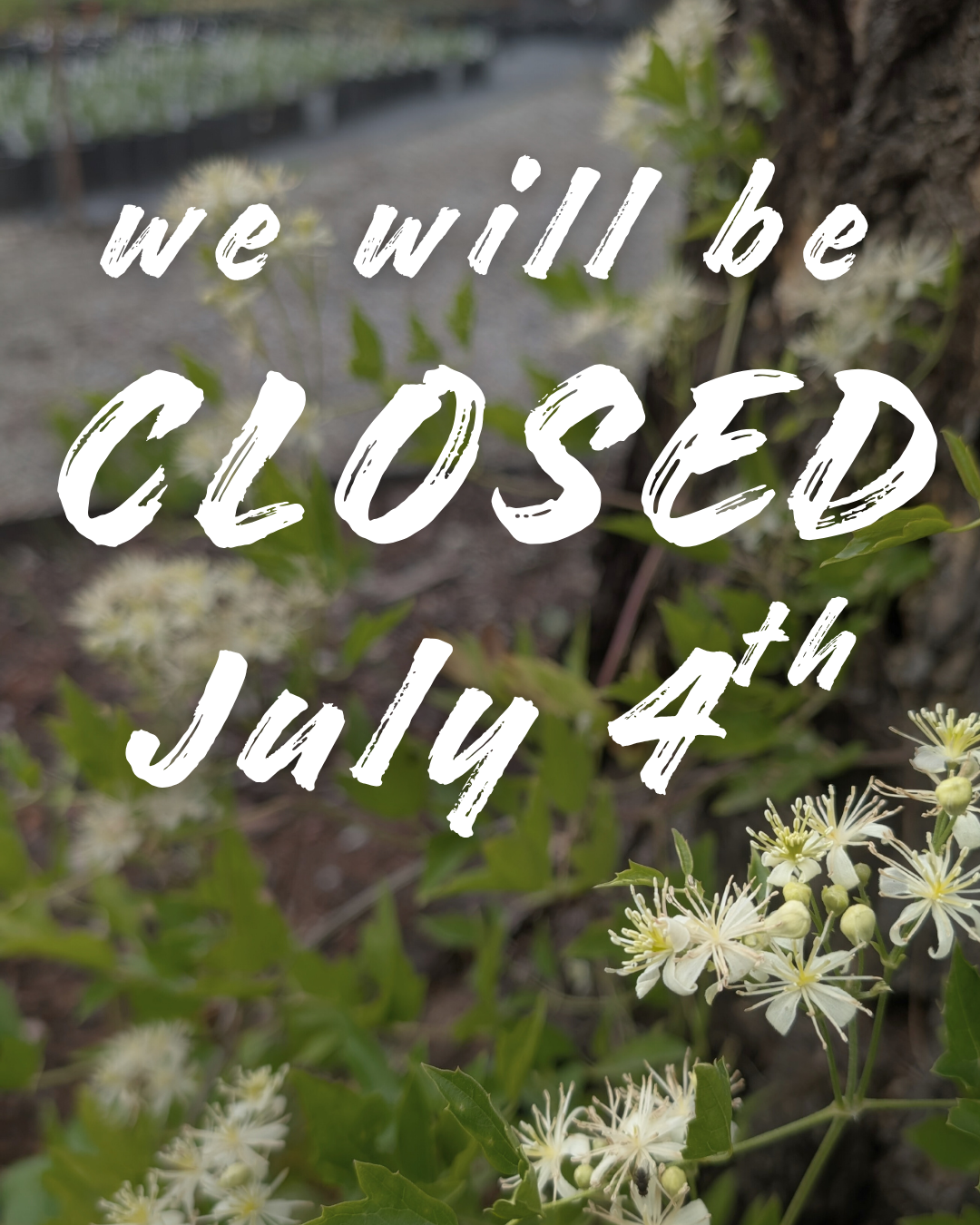 We will be closed July 4th 2026 in observation of Independence Day