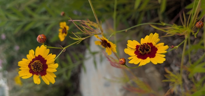 pxl_20250807_2236401192